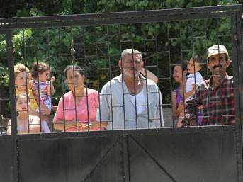 Adana'da 'yılan' operasyonu