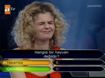Kimler ödül kazandı?