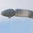 Casus sperm