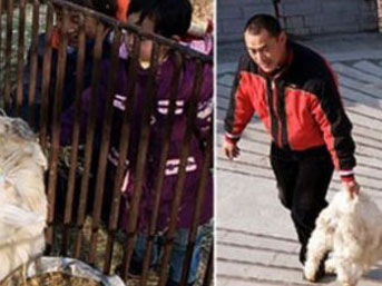 Akılalmaz bir vahşet!