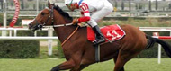Efsane at �iftle�irken can verdi! 
