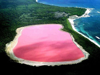 gol-pembe.jpg