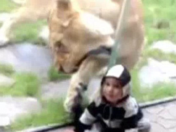 Hayvanat bahçesinde dehşet anları!