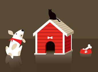 Reklam ajansları kedi mi yoksa köpek mi?