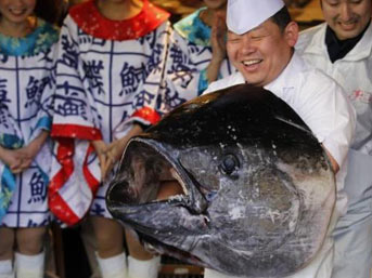 Orkinos balığı 1.4 milyon TL’ye satıldı