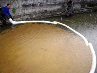 [Resim: sapanca-petrol.jpg]