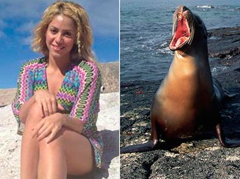 Shakira'yı şoke eden saldırı
