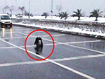 Yok artık! Bu kadarı da olmaz
