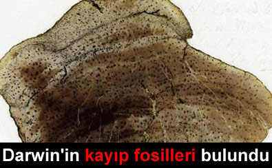 Darwin'e ait kay�p fosilleri bulundu