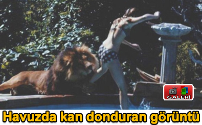 Havuzda kan donduran g�r�nt�
