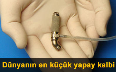 D�nyan�n en k���k kalbi