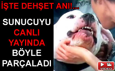 K�pek yay�nda sunucunun y�z�n� �s�rd�
