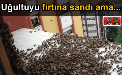 U�ultuyu f�rt�na sand� ama...