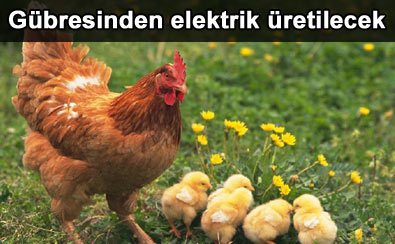 G�breden elektrik �retilecek