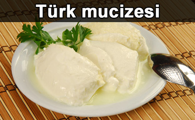 T�rk mucizesi