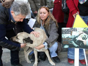 Kaçırdığı köpeğe tecavüz ederken yakalandı