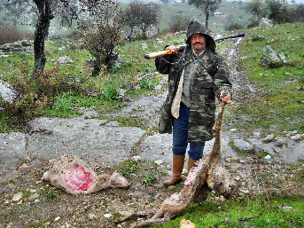 Söke'de canavar paniği