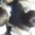 Asans�rde feci �l�m