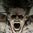 T�yler �rperten ayinler