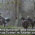 T�rkler hakk�nda �ok s�zler