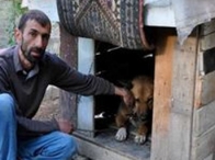 Köpeğe 1 yıl kulübede kalma cezası