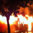 �ETT otob�s�ne molotoflu sald�r�!