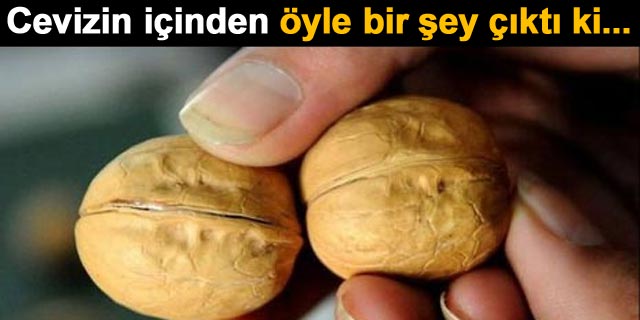 �inliler bu sefer ger�ekten abartt�!