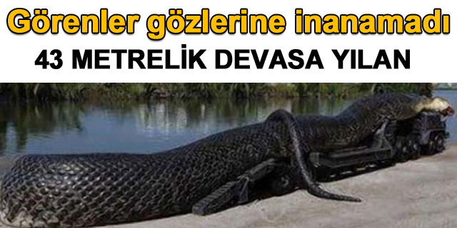 G�zleriniz sizi aldatmas�n!