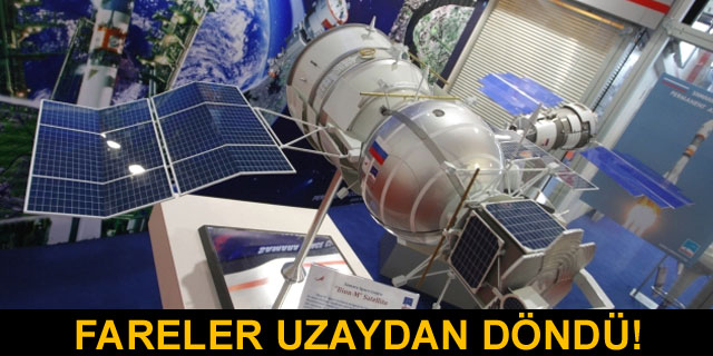 Ruslar�n faresi uzaydan d�nd�