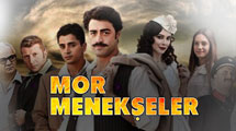 Mor Menekşeler