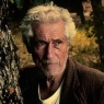 Nuri Bilge Ceylan'ın acı günü