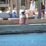 Bodrum'da yakalandı